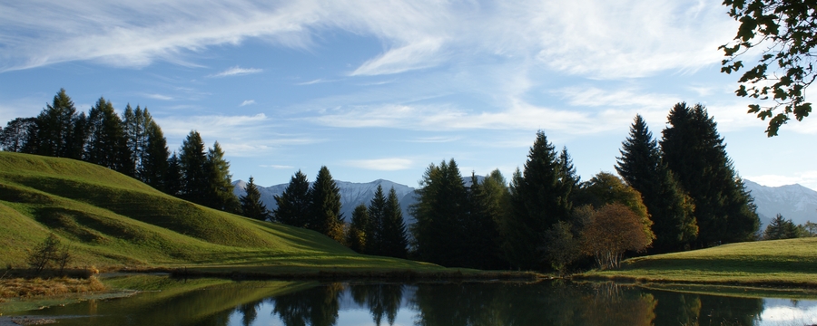 see ins tal